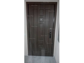 Usi metalice de intrare